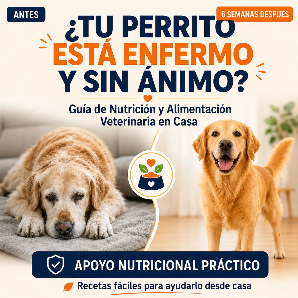 PetSano® Recetario Nutricional Canino para Perros Enfermos y Mayores | +30 Recetas Caseras de Apoyo en Casa